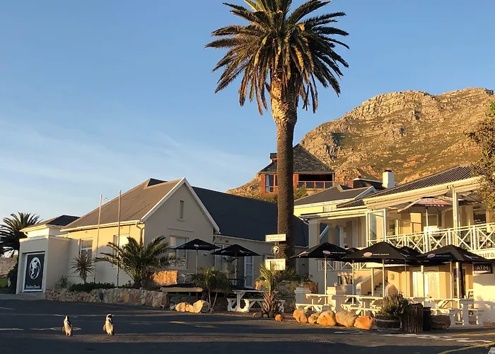 Boulders Beach Hotel, Cafe And Curio Shop